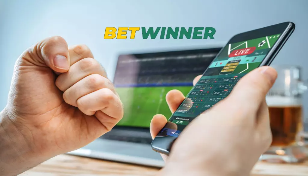 Don't Waste Time! 5 Facts To Start betwinner.affilate