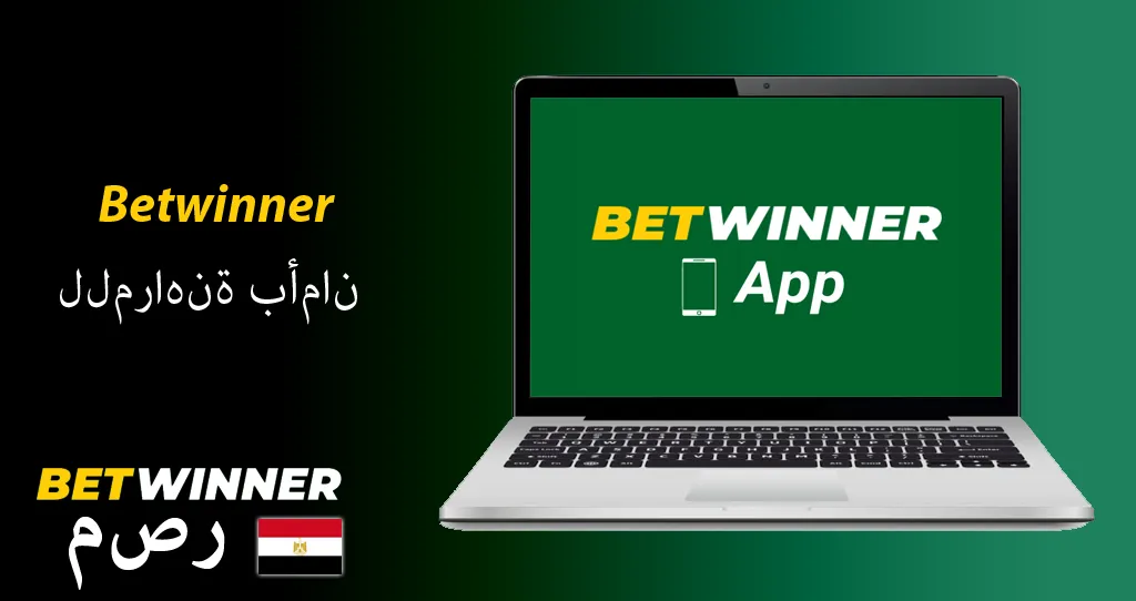 betwinner Stats: These Numbers Are Real